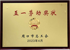 香港六台盒宝典资料大全玄机宝典锅炉被授予五一劳动奖状